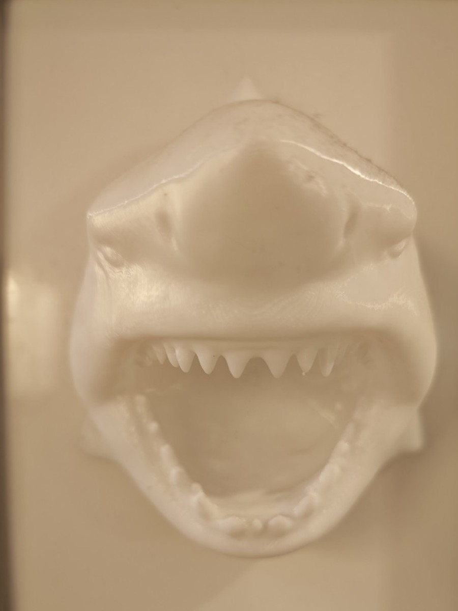 Hai